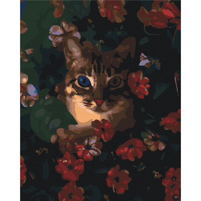 Котик в кущах