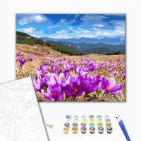 Долина крокусів