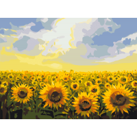 Поле соняшників