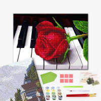 Роза музиканта Роза музиканта