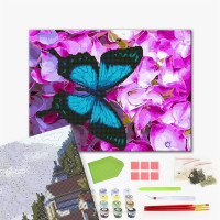 Метелик на квітах Метелик на квітах