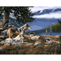 VP122 Картина за номерами Вовчий притулок Babylon