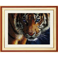 Алмазна техніка Dream Art Погляд тигра (повна зашивка, квадратне каміння) (DA-30028, Без підрамника)