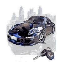 VP805 Забарвлення за номерами Чорний Порше Babylon