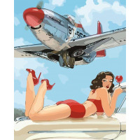 AS0155 Картина розмальовка Мрія пілота ArtStory AS0155 Картина розмальовка Мрія пілота ArtStory
