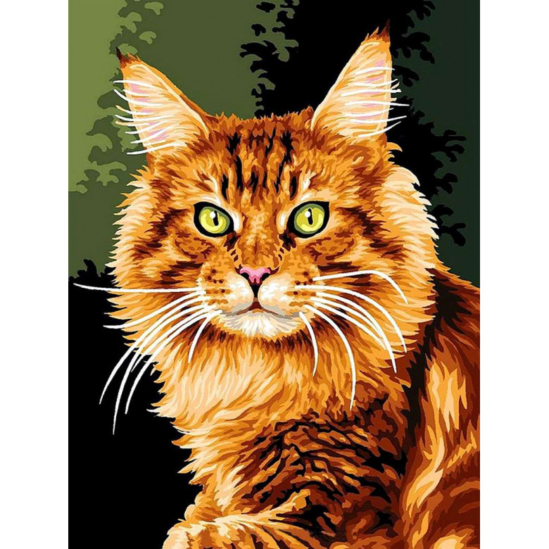 VK176 Картина за номерами Норвезька кішка Babylon