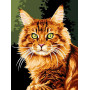 VK176 Картина за номерами Норвезька кішка Babylon