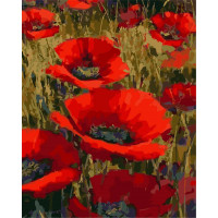 AS0245 Малювання за цифрами Прекрасні маки ArtStory AS0245 Малювання за цифрами Прекрасні маки ArtStory