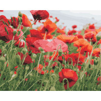 AS0352 Розмальовка за цифрами Маків колір ArtStory AS0352 Розмальовка за цифрами Маків колір ArtStory