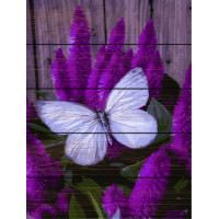RA-GXT27582 Картина за номерами на дереві Метелик Марфо