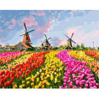 BK-GX27201 Картина за номерами Млини у тюльпановому полі