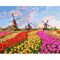 VP1434 Картина за номерами Різнобарвні тюльпані Babylon VP1434 Картина за номерами Різнобарвні тюльпані Babylon