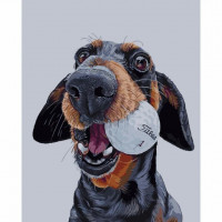 SR-B-SY6127 Картина за номерами Пес-бейсболістStrateg SR-B-SY6127 Картина за номерами Пес-бейсболістStrateg