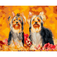 BK-GX45098 Розмальовка по номерах Два йоркиRainbow Art BK-GX45098 Розмальовка по номерах Два йоркиRainbow Art