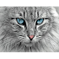 SR-DY082 Картина за номерами Погляд котикаStrateg SR-DY082 Картина за номерами Погляд котикаStrateg