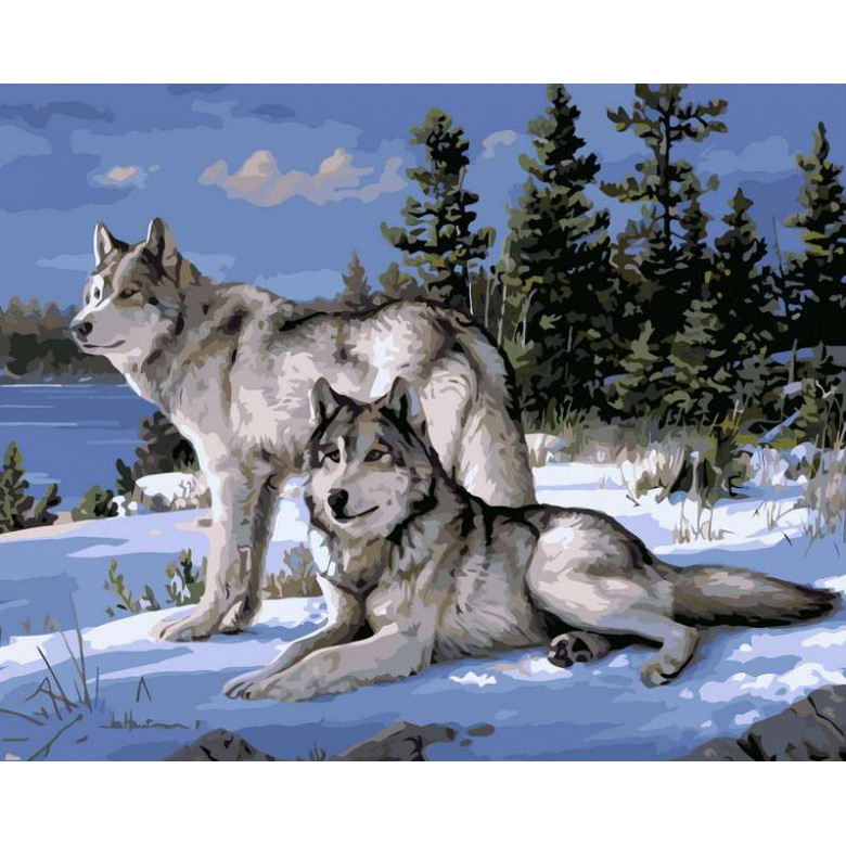 VP236 Картина за номерами Вовки на снігу Babylon