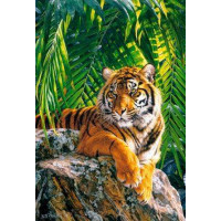 VP461 Розмальовка за номерами Суматранський тигриця Babylon