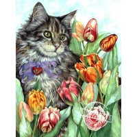 VK016 Картина розмальовка Котик у тюльпанах Babylon