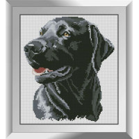 Алмазна мозаїка Dream Art Щасливий пес (DA-31248, Без підрамника)