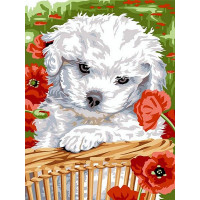 VK254 Живопис за номерами Песик в маках Babylon VK254 Живопис за номерами Песик в маках Babylon