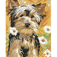 0015Т1 Картина за номерами Йорк тер'єр з ромашками (без коробки) Bambino 0015Т1 Картина за номерами Йорк тер'єр з ромашками (без коробки) Bambino