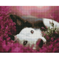 Картина алмазна вишивка ArtStory Пронизливий погляд (ASM34, На підрамнику)