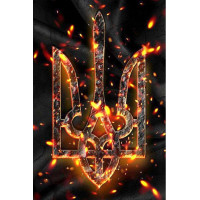 Алмазна техніка ТМ Алмазна мозаіка Тризуб (DMF-428, На підрамнику)