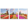 VPT059 Картина за номерами Різнобарвні тюльпані Babylon