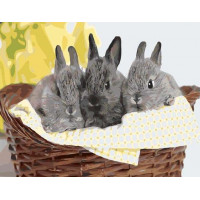 SR-SY6314 Картині за номерами ПухнастикиStrateg SR-SY6314 Картині за номерами ПухнастикиStrateg