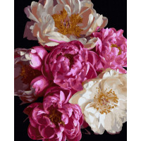 BK-GX45124 Картина за номерами Ніжність півонійRainbow Art BK-GX45124 Картина за номерами Ніжність півонійRainbow Art