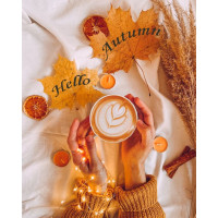 Мозаїка алмазна My Art Привіт осінь (MRT-TN1222, На підрамнику) Мозаїка алмазна My Art Привіт осінь (MRT-TN1222, На підрамнику)