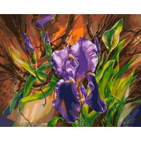 VP103 Картини за номерами Блакитний ірис Babylon VP103 Картини за номерами Блакитний ірис Babylon