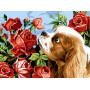 VK106 Картина за номерами Кокер спаніель та троянди Babylon