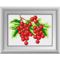 Картина алмазна вишивка Dream Art Червона смородина (квадратні камені, повна зашивка) (DA-30445M, Без підрамника) Картина алмазна вишивка Dream Art Червона смородина (квадратні камені, повна зашивка) (DA-30445M, Без підрамника)