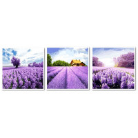 VPT031 Картина за номерами Триптих Лавандове море Babylon