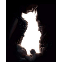 VP1107 Картина за номерами Домашні улюбленці Собака Babylon VP1107 Картина за номерами Домашні улюбленці Собака Babylon