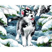 VP1120 Рисование по номерам Малыш хаски Babylon