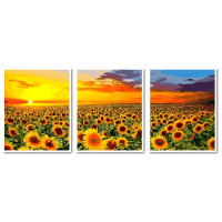 VPT041 Полотно для малювання Триптих Поле соняшників Babylon