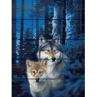 RA-GXT28852 Картина за номерами Нічні вовки Rainbow Art
