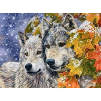 Набір алмазна мозаїка My Art Вовк і вовчиця (TN700, На підрамнику)