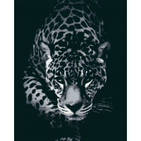 RB-0169 Картина за номерами Мисливець Riviera Blanca