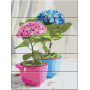ASW164 Картина за номерами Яскраві квіти ArtStory