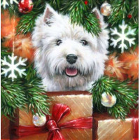 Набір алмазна мозаїка ТМ Алмазна мозаїка Йорк з подарунками (DM-420, Без підрамника)