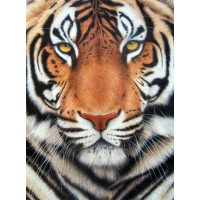 Алмазна техніка ТМ Алмазна мозаїка Тигр (DMF-282, На підрамнику)