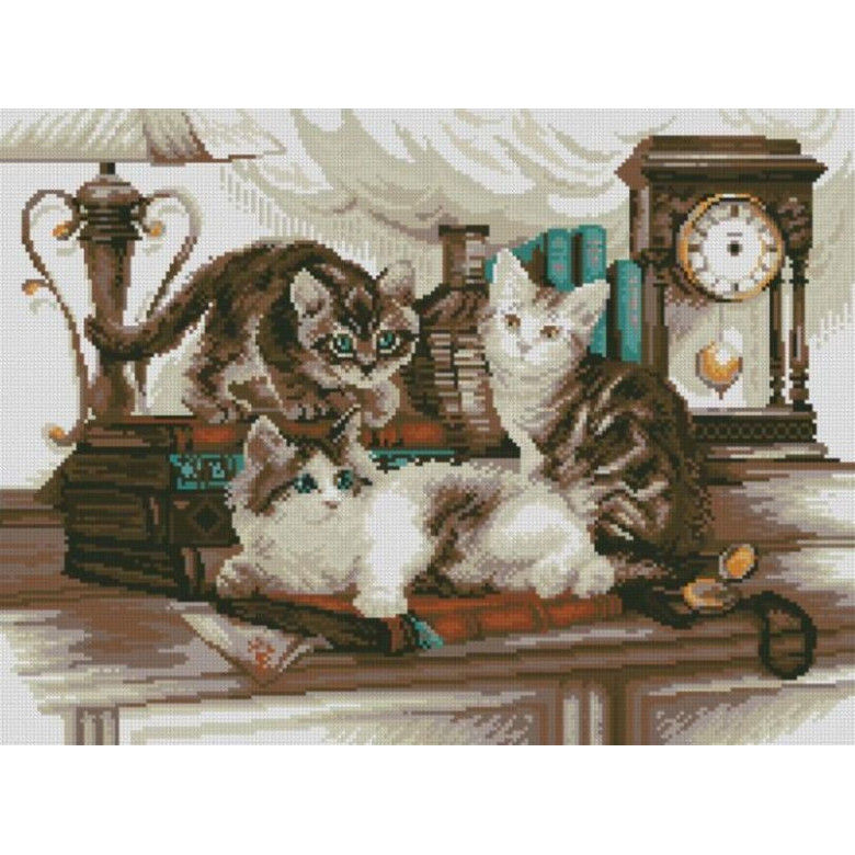 Картина стразами Dream Art Кошенята у бібліотеці. (41 х 55 см) (DA-31628, Без підрамника)