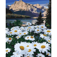 SR-B-SY6082 Рисунок за цифрами Галявіна серед гірStrateg SR-B-SY6082 Рисунок за цифрами Галявіна серед гірStrateg