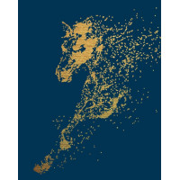 RB-0882 Розмальовка для дорослих ЗіркаRiviera Blanca