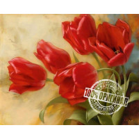 VP536 Картина за номерами Букет тюльпанів Babylon