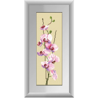 Алмазна техніка Dream Art Орхідея (панель) (повна зашивка, квадратне каміння) (DA-30038, Без підрамника)