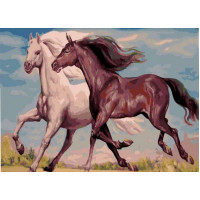 BK-GX5139 Картина за номерами Назустріч вітру